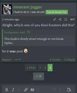 kiwi2.webp