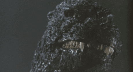 7.gif