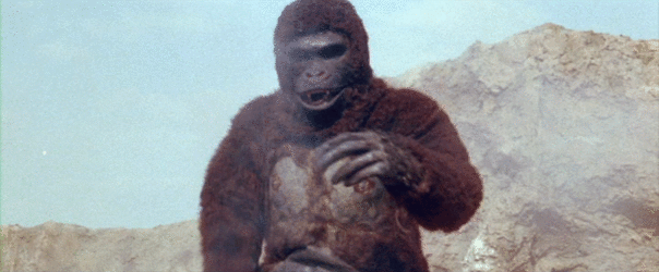 APECap_00014.gif