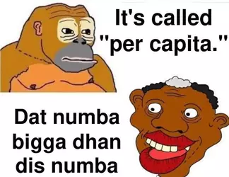niggers-dont-understand-per-capita-statistics.webp