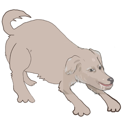 Null Avatar Extend 1.webp