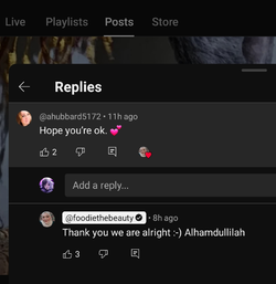 Screenshot_20250719_133124_YouTube.webp