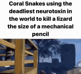 6643543534.gif