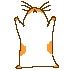 fullsize (1).gif