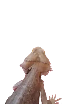 Untitled96_20250720131151.webp