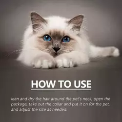 how to use cat.webp