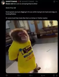 1753050995568.webp