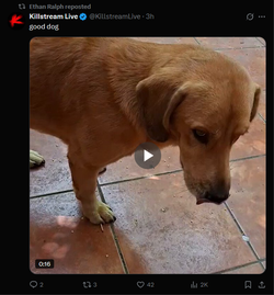 Screenshot 2025-07-20 190034.webp