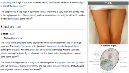Screenshot 2025-07-21 152723.webp