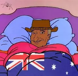 Kanga gang still winning.webp