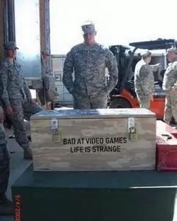 BAVG LIS.webp