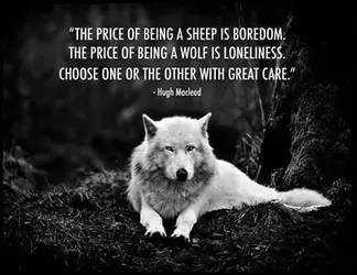 the-price-of-being-a-sheep-is-boredom-the-price-of-being-a-wolf-is-loneliness-choose-one-or-t...webp