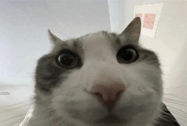 1000004194.gif