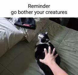 bother your creatures.webp