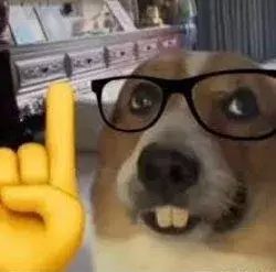 1000046134.webp