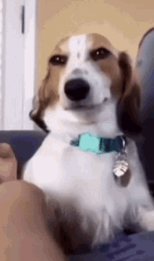 1651847481506.gif