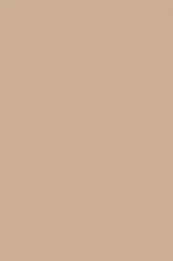 1667572852823336_.webp 1667572852823336_.webp