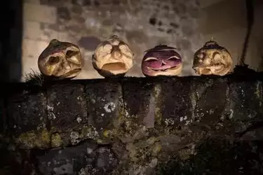 halloween-turnips.webp