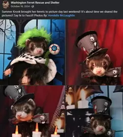 1753347228402.webp 1753347228402.webp