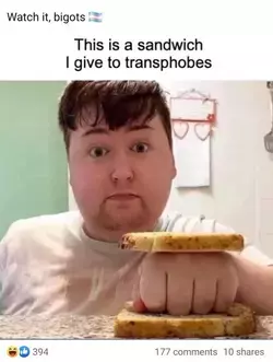 sandwich_transphobes.webp