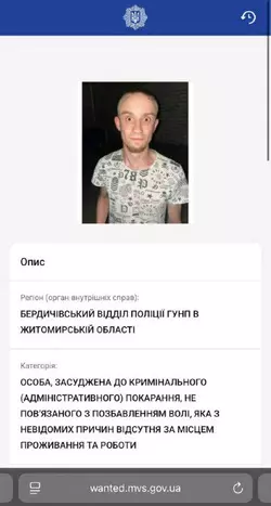 1753370579379.webp