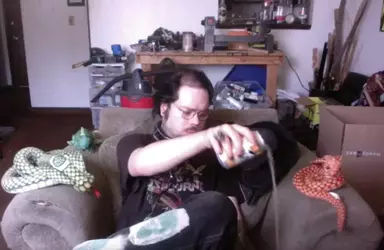 kingcobrajfs green scalp paint1.webp