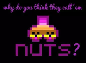 nuts.why.webp