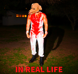 in real life.webp