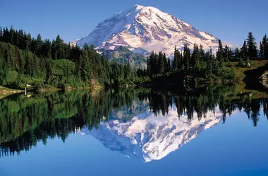 1753402022034.webp