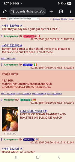 1753452765616666.webp