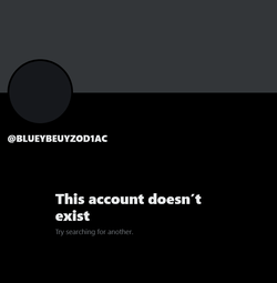 Screenshot 2025-07-25 at 18-21-08 Profile _ X.webp