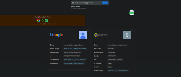 Screenshot 2025-07-25 at 18-51-01 OSINT Reverse Email Lookup.webp