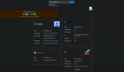 Screenshot 2025-07-25 at 18-53-17 OSINT Reverse Email Lookup.webp