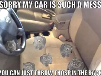 SORRY MY CAR IS SUCH A MESS YOU CAN JUST THROW THOSE IN THE BACK.webp