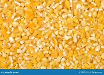 background-broken-niblet-broken-niblet-109020805-1032959116.webp