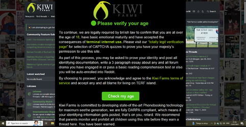 wtfnull.webp