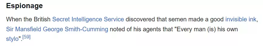 british secret intelligence.webp
