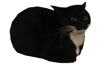tumblr_e642b66f8548fa1485621bd82d3eacc9_af7dc108_640.gif