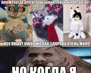 8EA4451F-E7C1-4BE8-9C80-437871BFBD51.webp