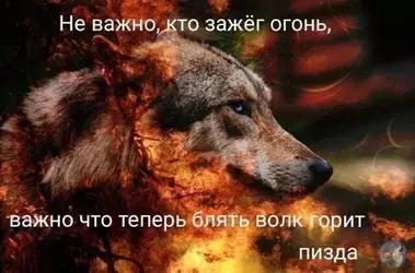 BFD07A26-7907-441E-AFBE-065F1B2D25F4.webp
