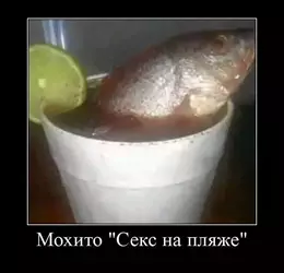 83074028-CF86-4D04-A3AA-58F7338646E1.webp