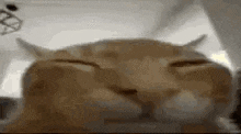 1752130272406.gif
