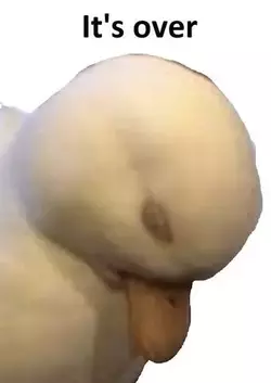 1753063797638510.webp