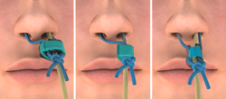 Bridle-Group_01.png