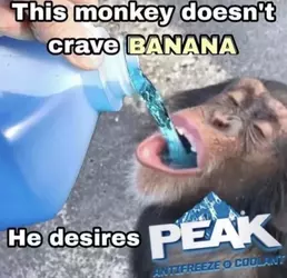 antifreeze_for_everyone.webp