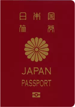 1753801774686.webp