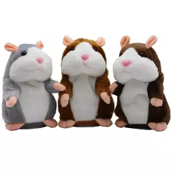 hampster.webp