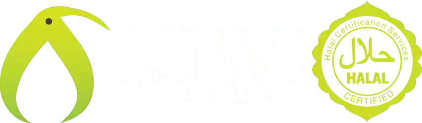 1753886416232.webp
