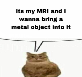 ITS MY MRI I GET TO BRING A METAL OBJECT.webp