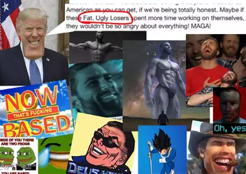 based.webp